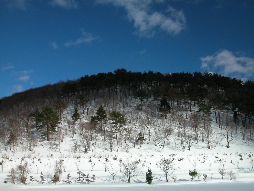 雪山天空 第一辑