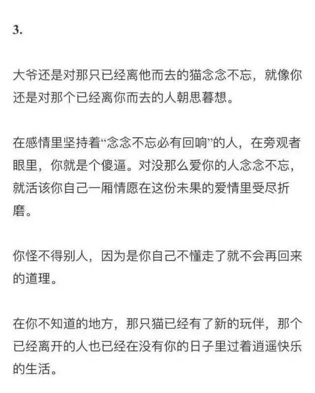 猫是喂不熟的 而你也是 我是舍不得说再见的 但你不是