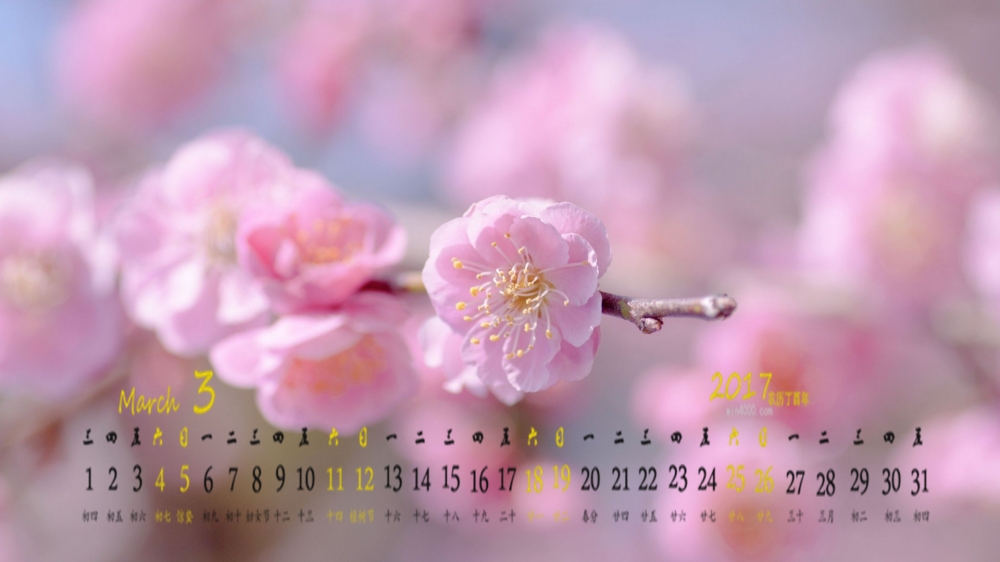 2017年3月意境清新桌面日历壁纸
