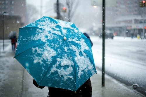 冬天来啦  唯美清新雪景图片