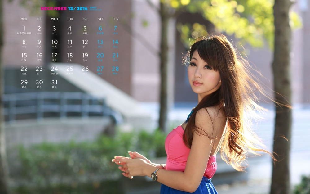 2014年12月日历清新美女户外气质图片win8高清电脑桌面壁纸