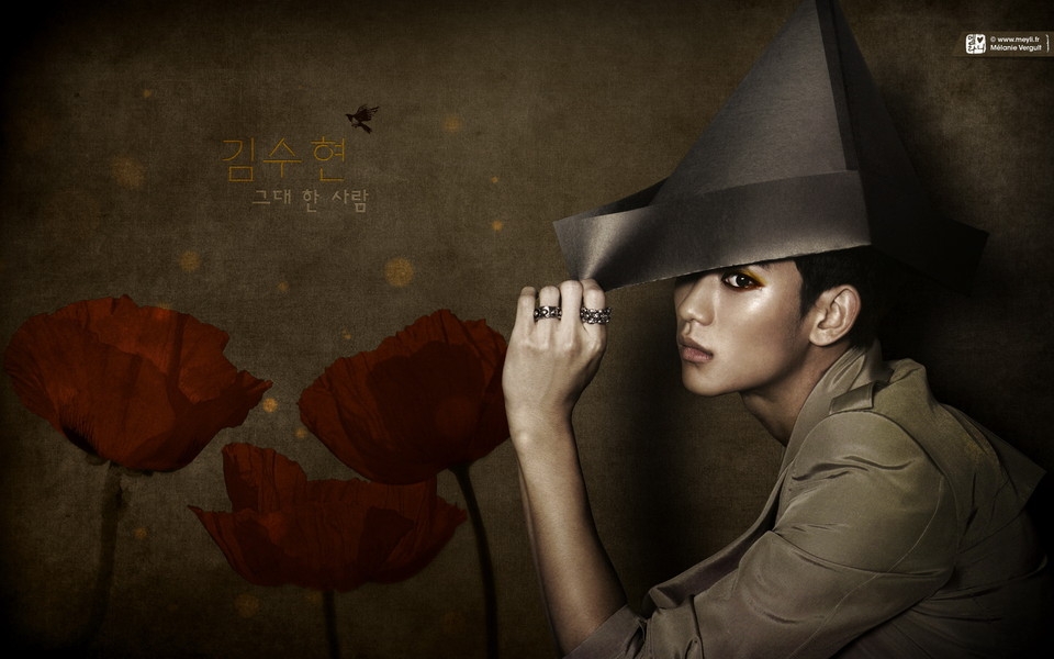 金秀贤 Kim Soo Hyun壁纸