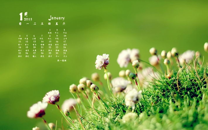 2015年1月日历壁纸大全