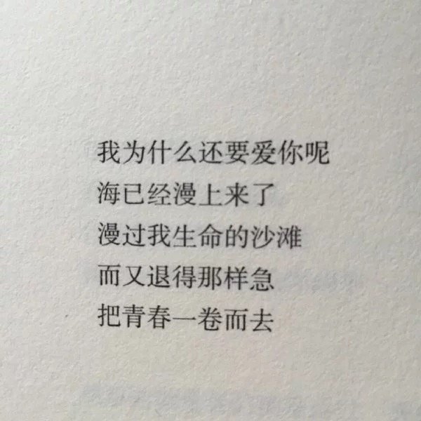 书摘 会有你喜欢的.