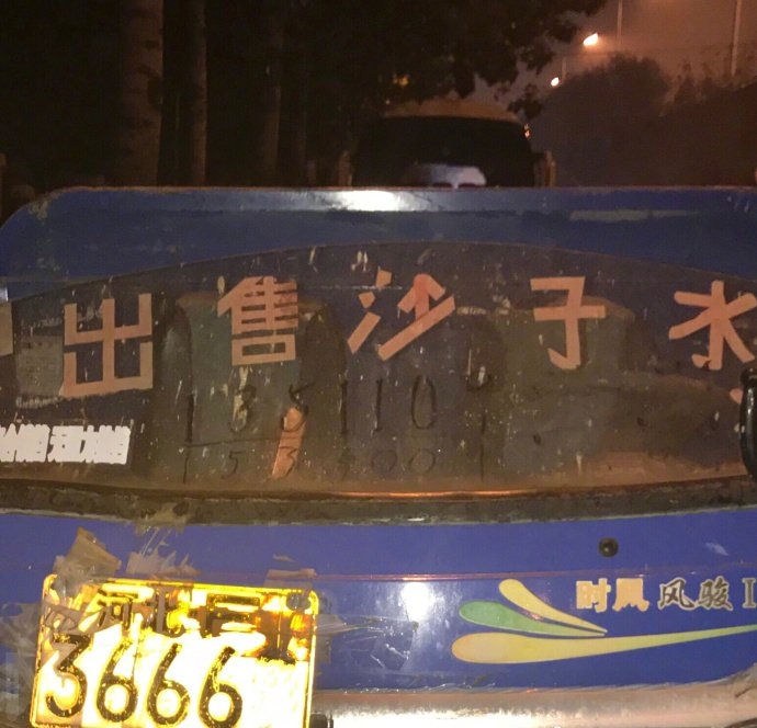 易烊千玺的猫 易烊千玺二十