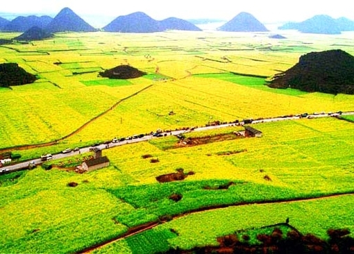 农村的靓丽风景线 梯田图片美景