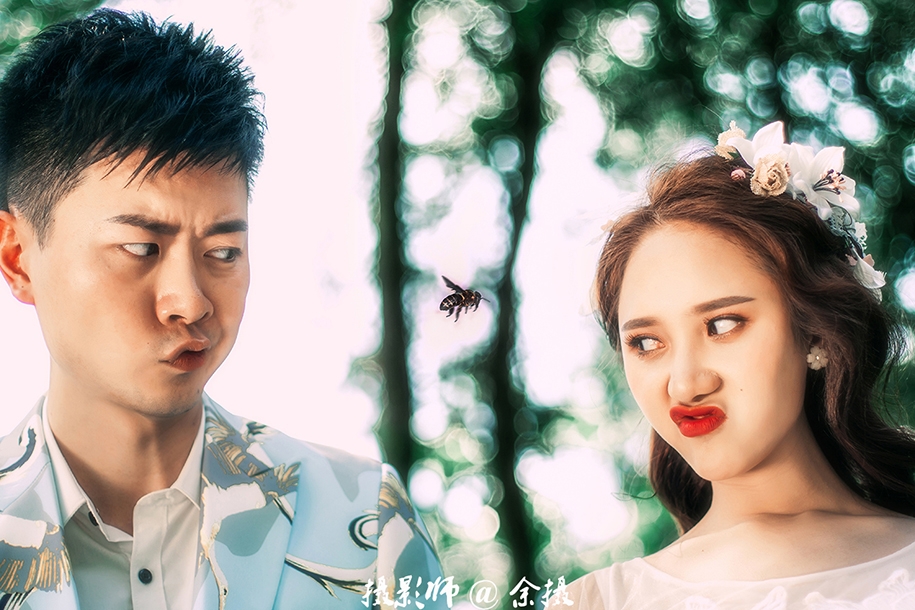 森 情绪 婚纱照
