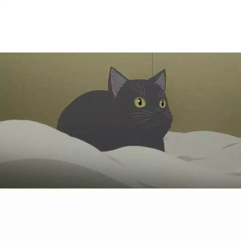 我和我的猫都很想你。