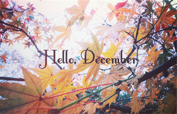 十二月你好的图片大全精选 Hello December唯美高清图片