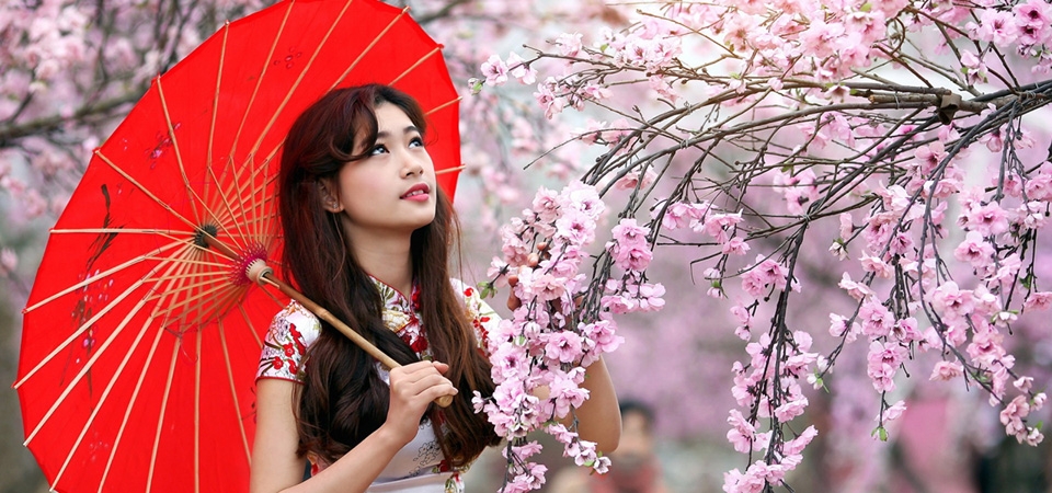 美女，红色花伞，樱花，中国风，漂亮美女壁纸