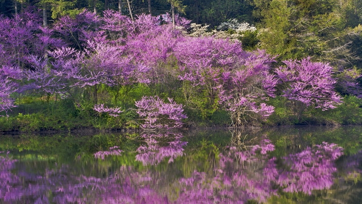 Webshots风光桌面壁纸 1920X1080【68P】