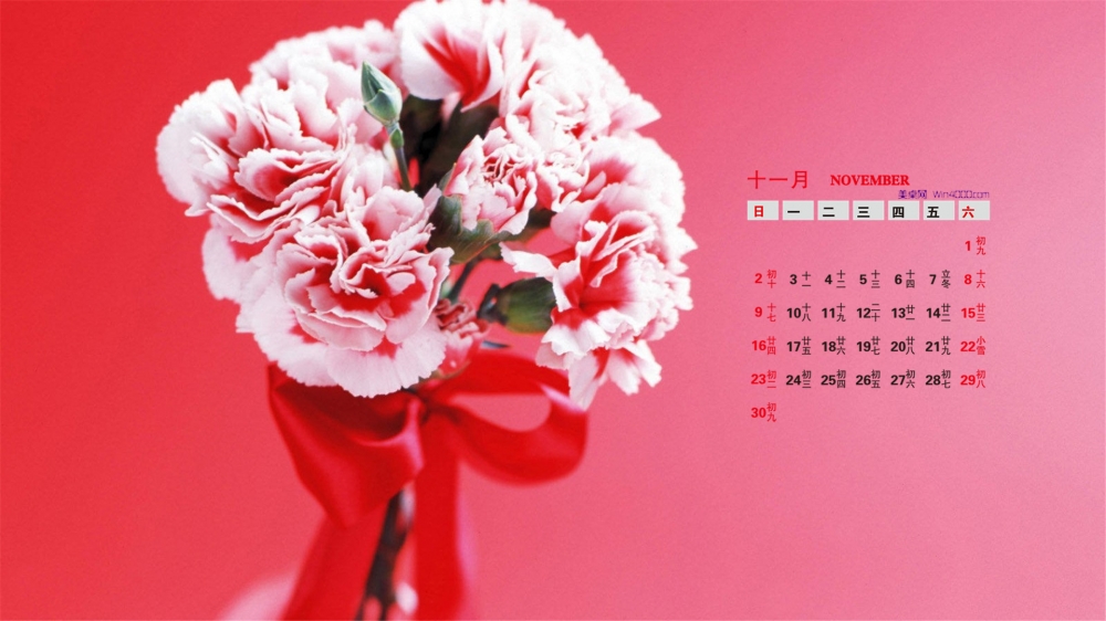 2014年11月日历桌面壁纸唯美的花卉护眼植物高清图片