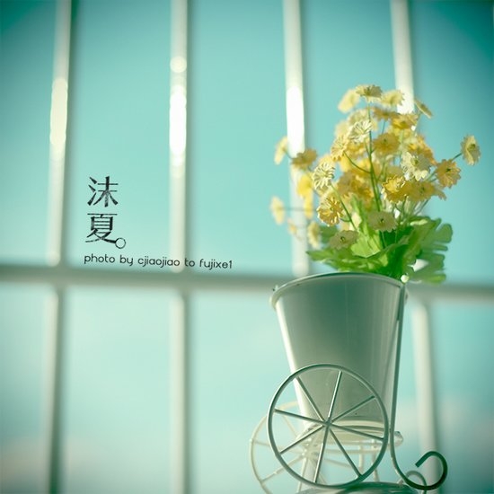 沫夏唯美清新图片大全