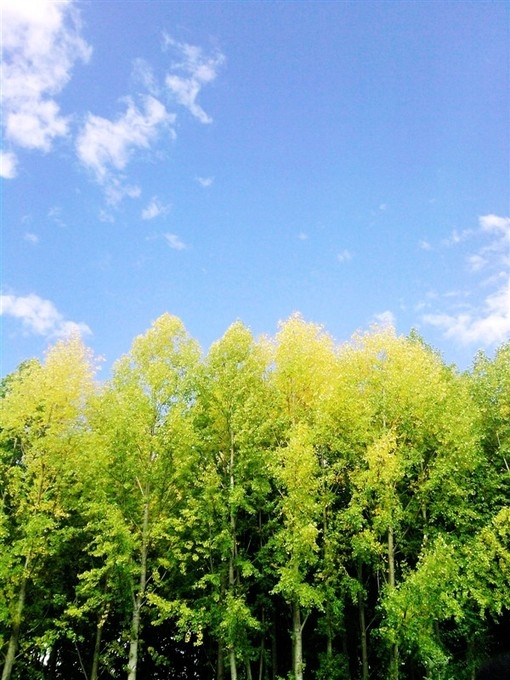 宛若仙境的西藏唯美风景图片