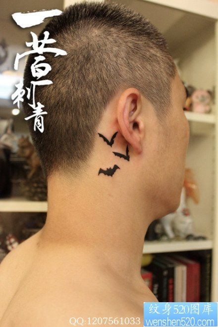 耳部小巧时尚额图腾蝙蝠纹身图片