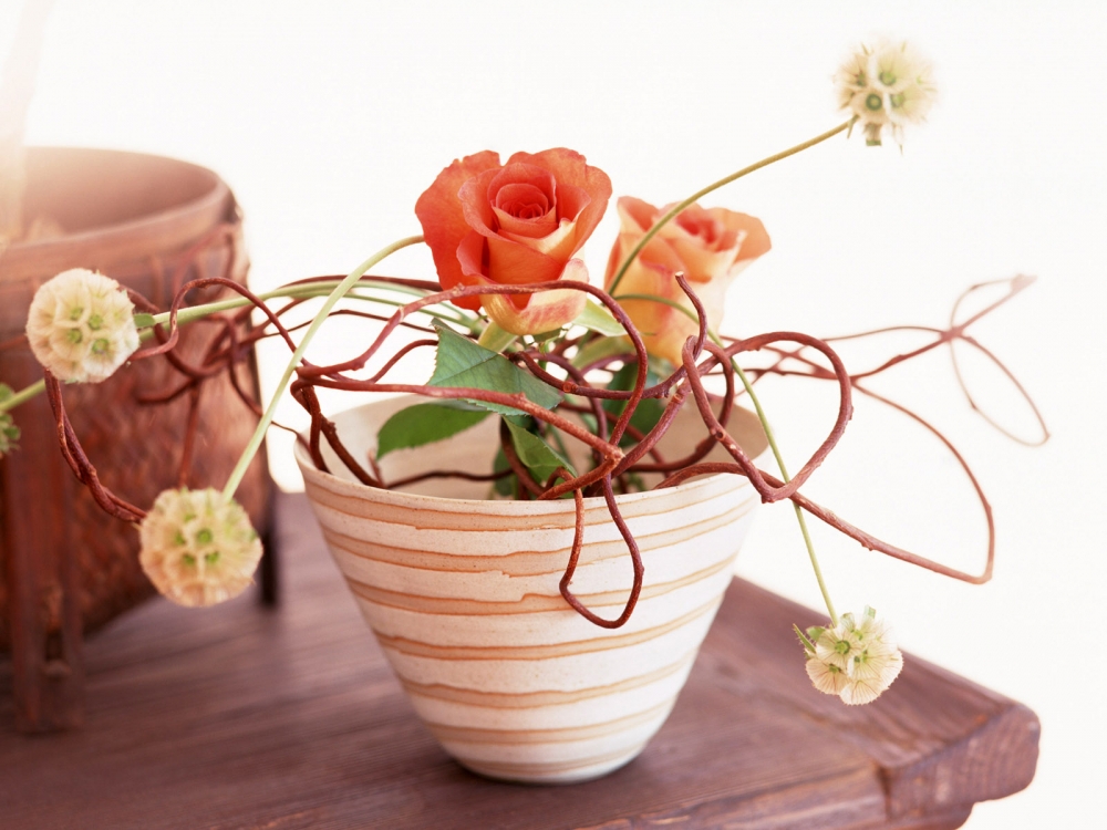 室内花 第七辑