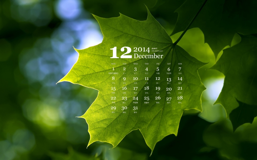 2014年12月日历绿色小清新植物花草护眼桌面壁纸下载
