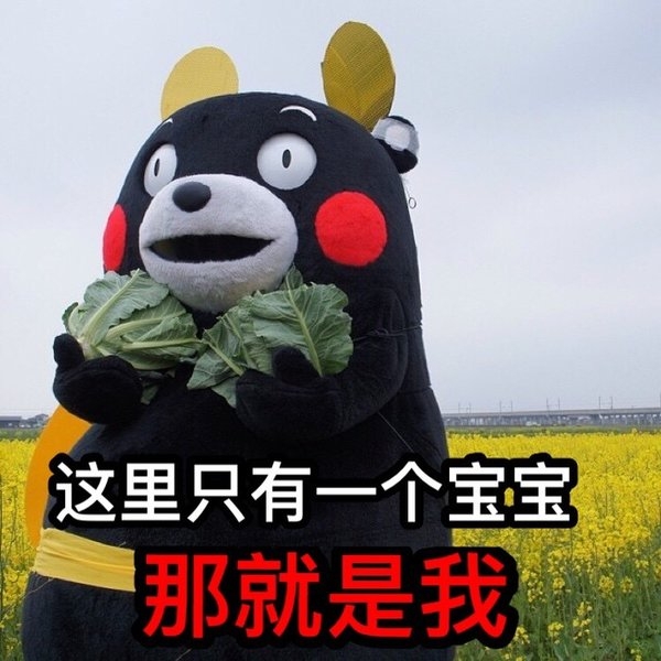 表情包。
