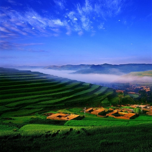 农村的靓丽风景线 梯田图片美景