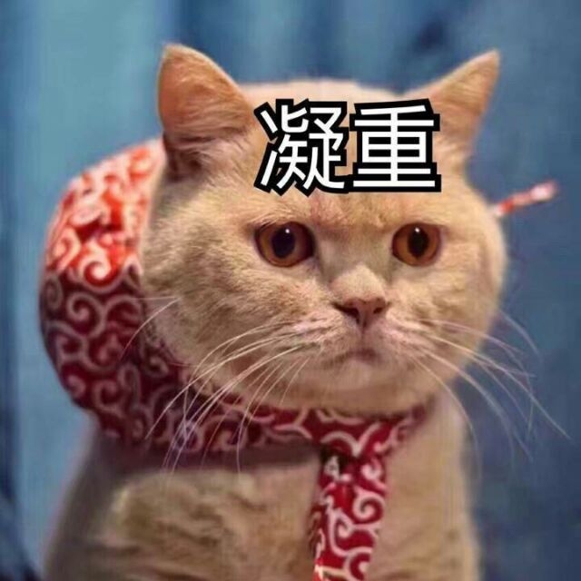 近期热门表情包20170322 ​​​