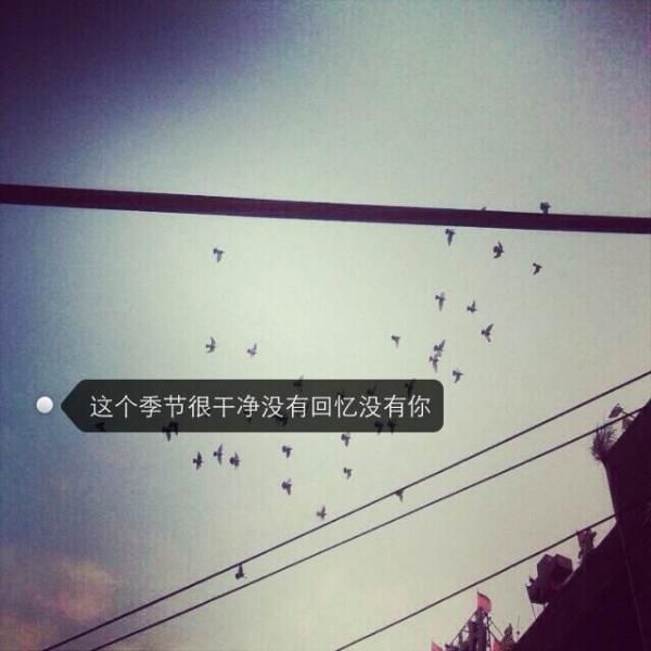 不要怪别人变了，只是时光慢慢的带走了曾经那单纯的我们仅此而已。