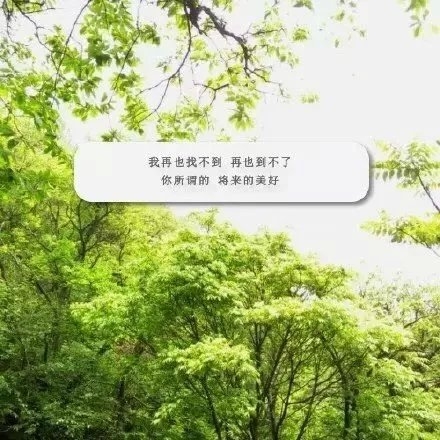 你将会被谁抱紧，又唱什么歌哄她开心