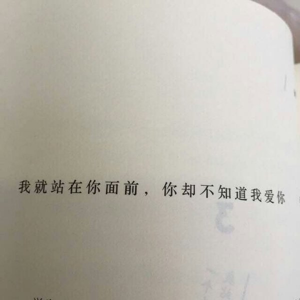 书摘 会有你喜欢的.