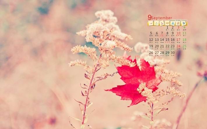 2016年9月日历壁纸下载