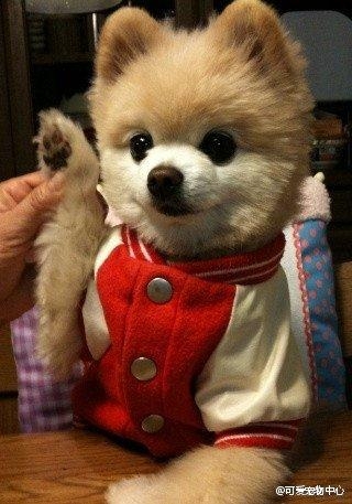 为什么你眼里就不能只有我