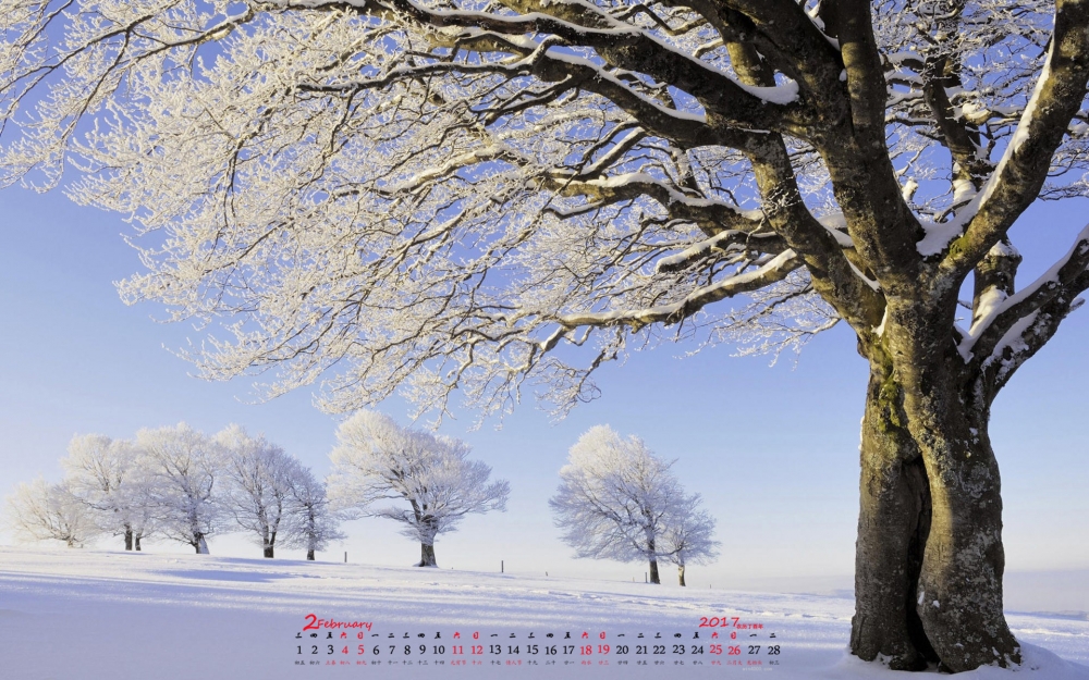 2017年2月冬日雪景日历壁纸