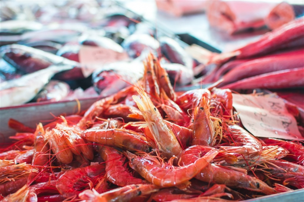 市场里的鱼肉等海鲜高清素材大图