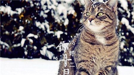 十二月你好的图片大全精选 Hello December唯美高清图片