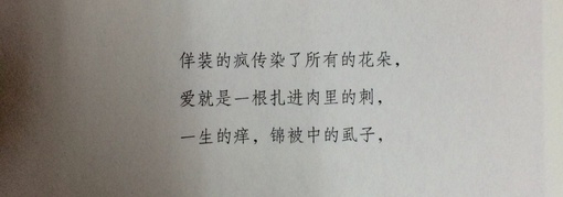 你和我处在同一片段里