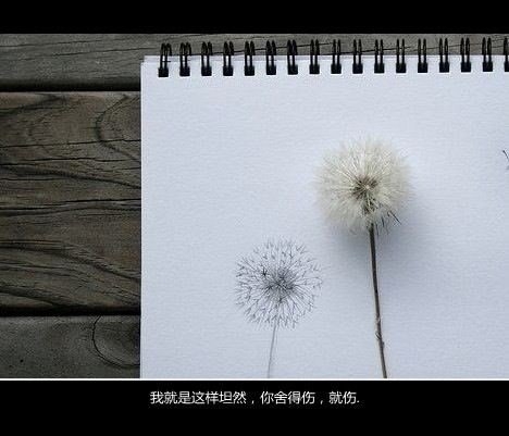 等待的时候，不要期望有回报 伤感文字图片