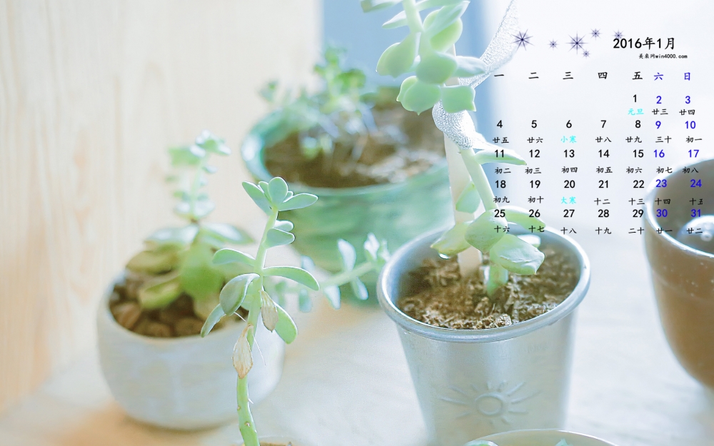 2016年1月日历日系小清新静物桌面壁纸下载