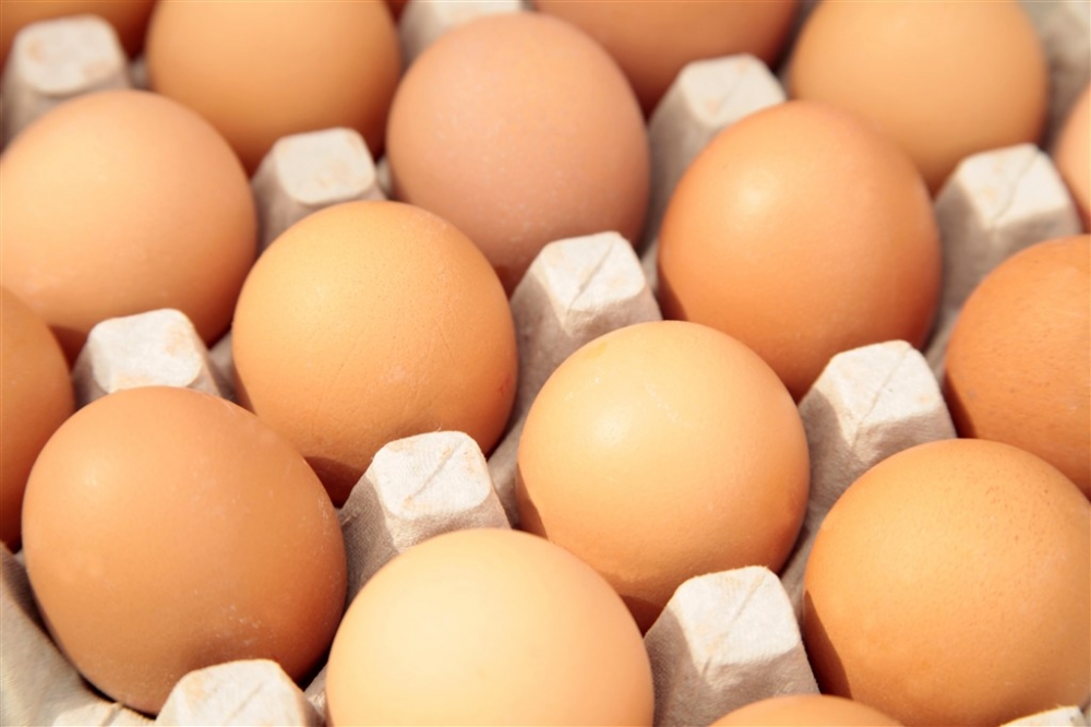 新鲜的鸡蛋食物摄影图片