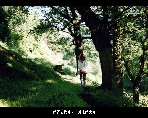 等待的时候，不要期望有回报 伤感文字图片