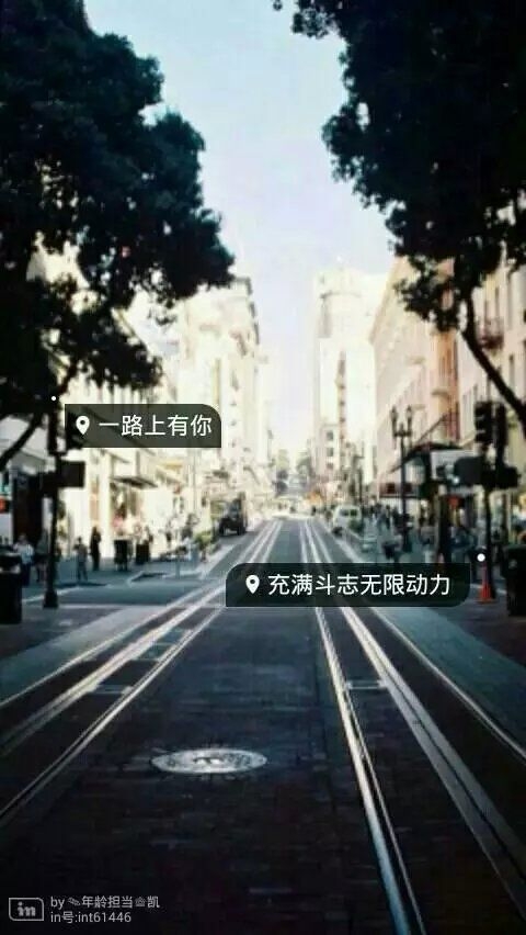 最新带字图片大全唯美霸气 四叶草在未来唯美盛开