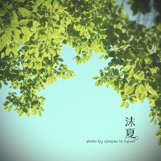 沫夏唯美清新图片大全