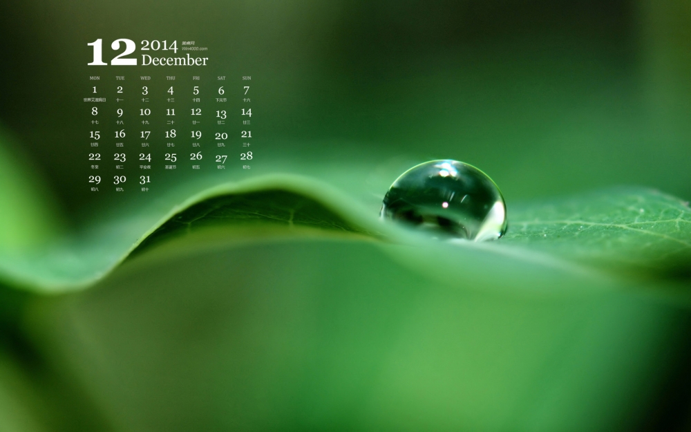 2014年12月日历绿色小清新植物花草护眼桌面壁纸下载