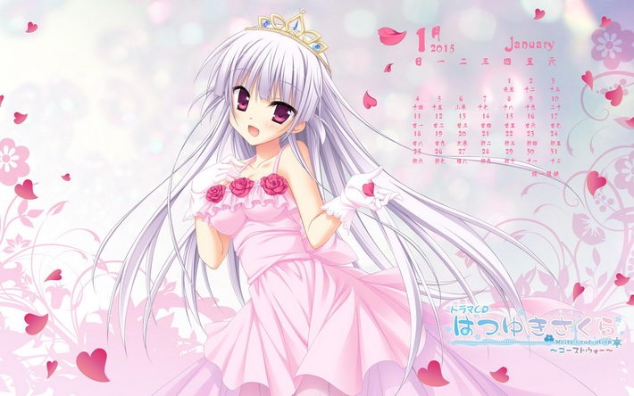 2015年1月日历壁纸大全