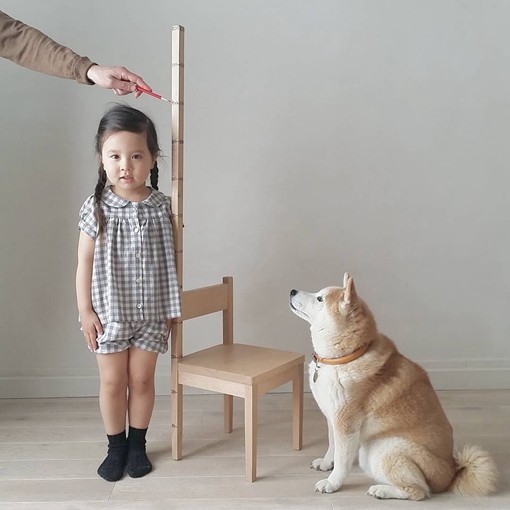 小萝莉Philo与她的柴犬.