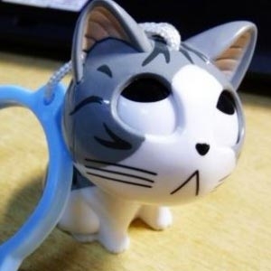 萌小奇，这只可爱小猫