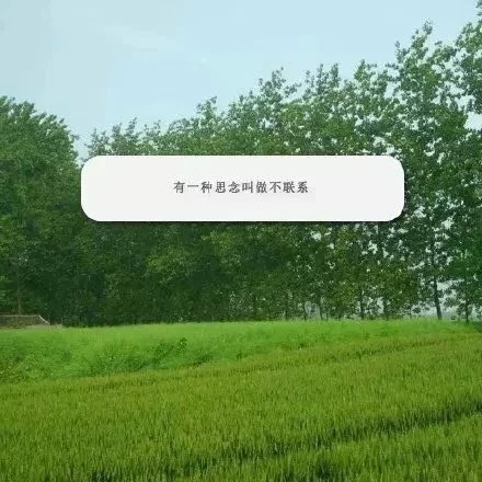 你将会被谁抱紧，又唱什么歌哄她开心