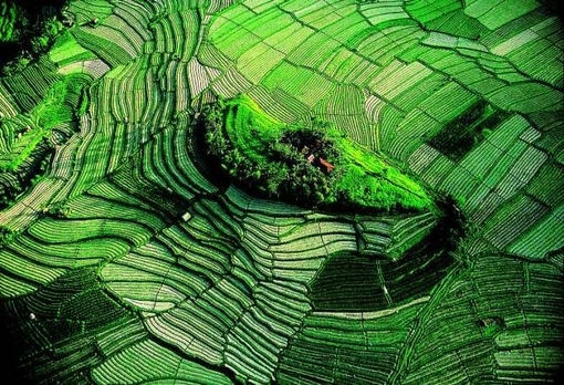 农村的靓丽风景线 梯田图片美景