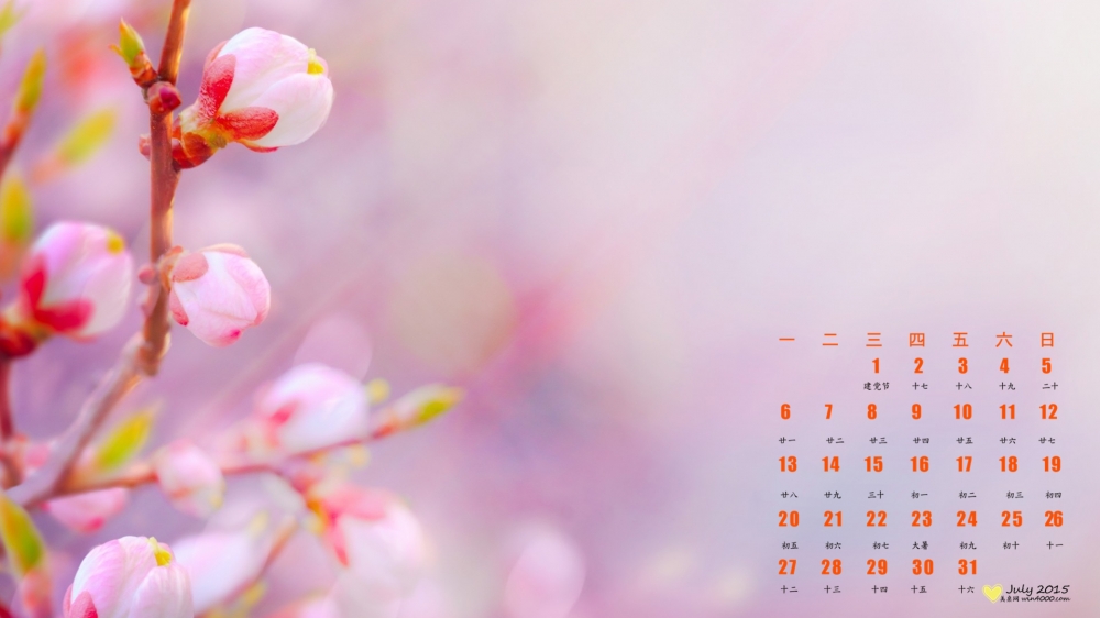 2015年7月日历壁纸精选清新自然花苞风景桌面壁纸下载