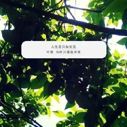 你将会被谁抱紧，又唱什么歌哄她开心