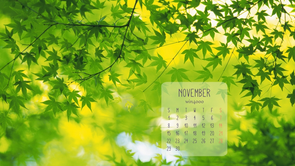 2016年11月日历绿色护眼高清幽静风景电脑桌面壁纸