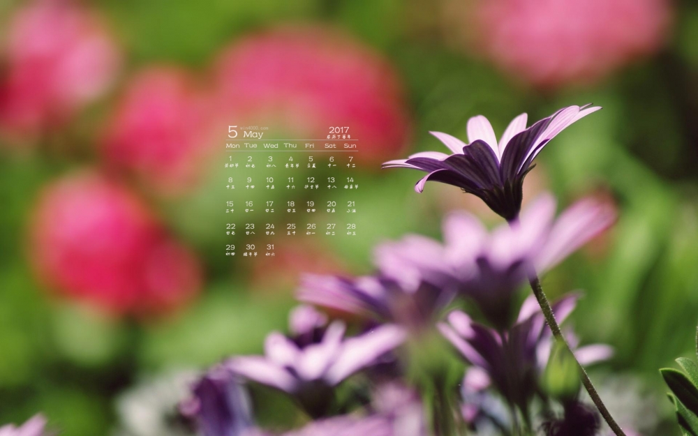 2017年5月清新唯美植物花卉日历壁纸
