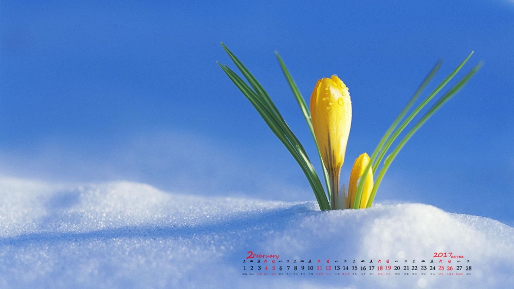 2017年2月冬日雪景日历壁纸